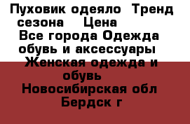 Пуховик-одеяло. Тренд сезона. › Цена ­ 3 900 - Все города Одежда, обувь и аксессуары » Женская одежда и обувь   . Новосибирская обл.,Бердск г.